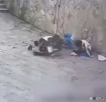 皇冠信用网代理注册
_湖南两高中生骑电动车撞围墙身亡皇冠信用网代理注册
,两人均未佩戴安全头盔 家属称系改装车,最高时速100公里