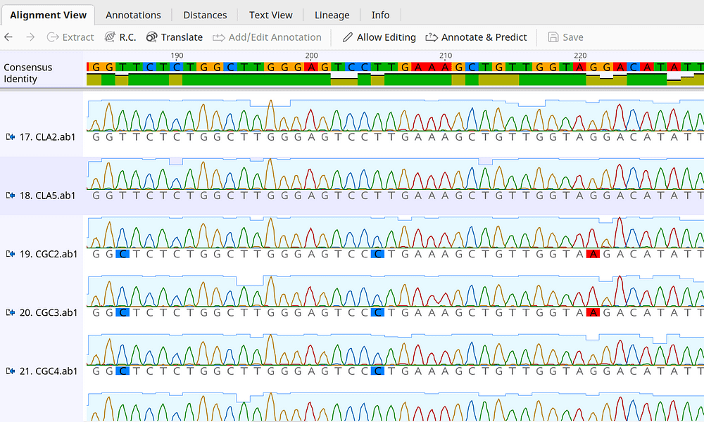 正版皇冠信用网代理_Geneious Prime软件代理 原厂正版价格咨询