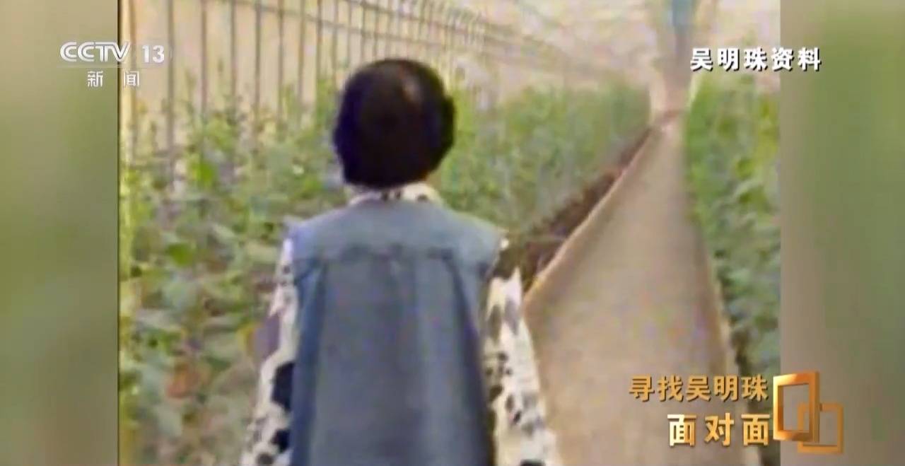 皇冠信用网出租足球_面对面丨中国人的吃瓜自由要感谢她皇冠信用网出租足球！吴明珠说她的一生就是结几个好瓜献给人民