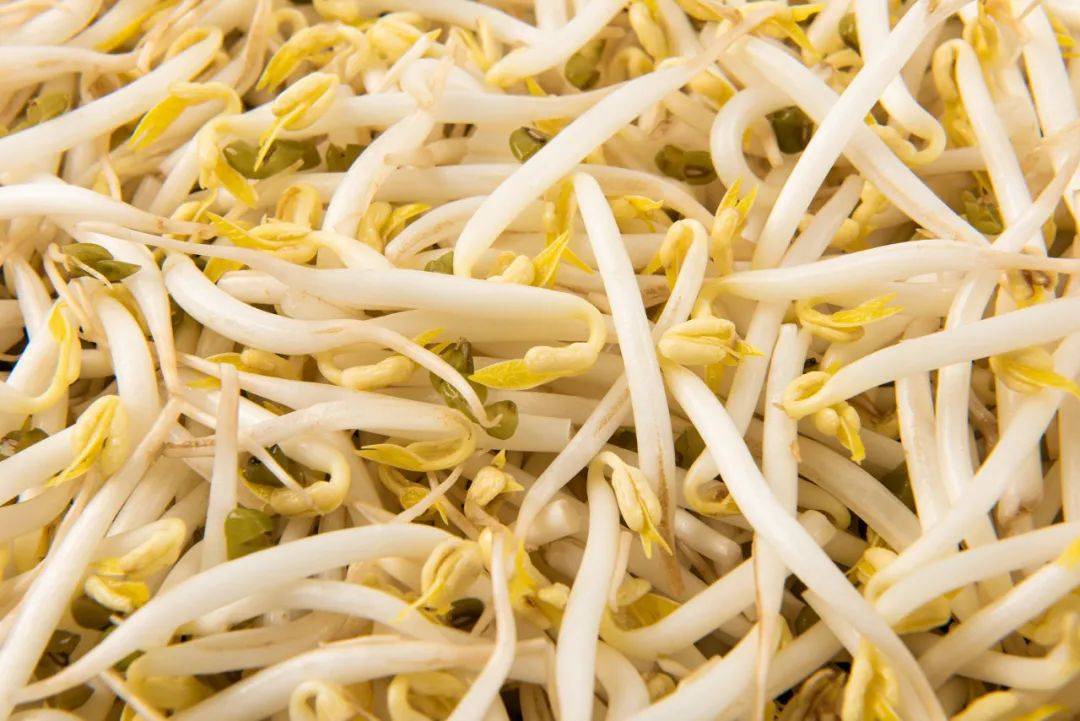 皇冠信用網代理占成_无根豆芽是用激素催生的皇冠信用網代理占成，吃了会致癌？