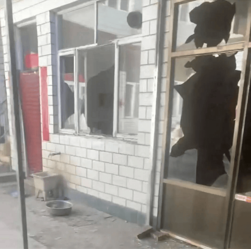 皇冠信用盘登2登3_是否防卫过当成庭审焦点皇冠信用盘登2登3！律师分析“狗咬人被摔犬主遭反杀”