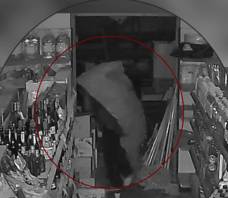 皇冠2登录welcome
_青岛某超市凌晨突然出现神秘黑影皇冠2登录welcome
,披着烂麻袋低着头,当他终于转过脸来,警察都气笑了